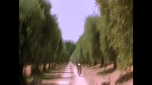 How to tell time in rural Italy