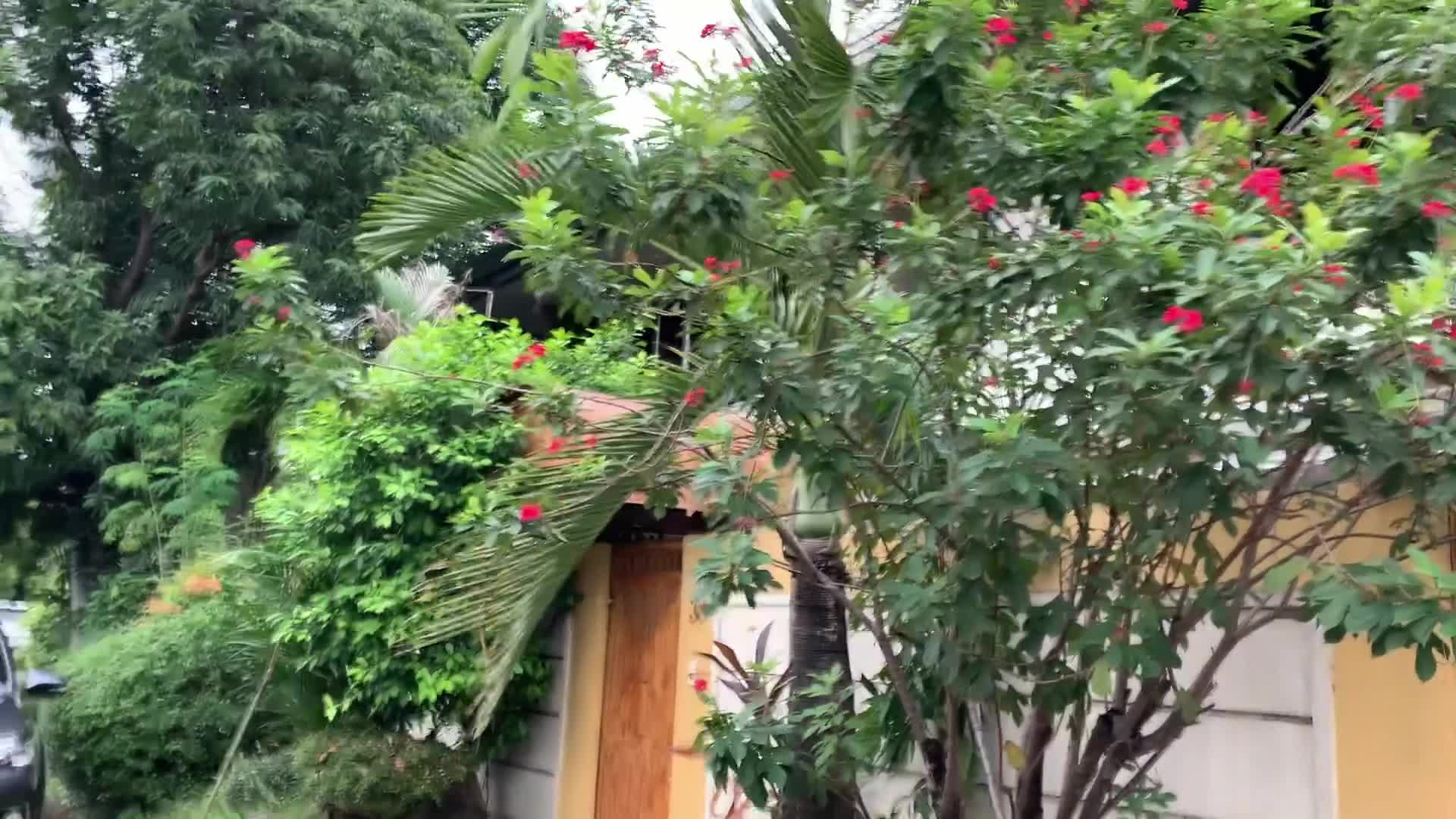 9th Street House